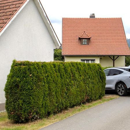 Flat Bull Appartement Mit Garten Sankt Lorenzen bei Knittelfeld Bagian luar foto